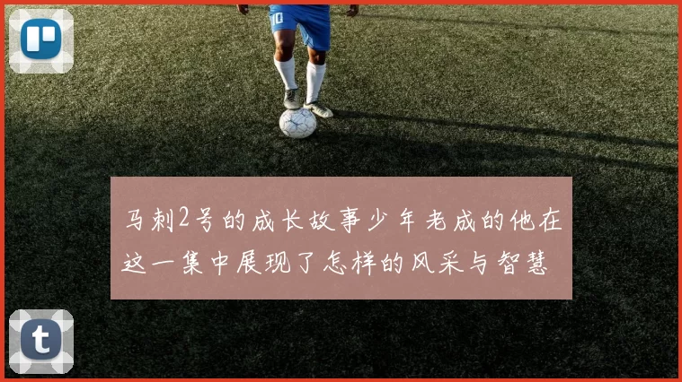 马刺2号的成长故事少年老成的他在这一集中展现了怎样的风采与智慧