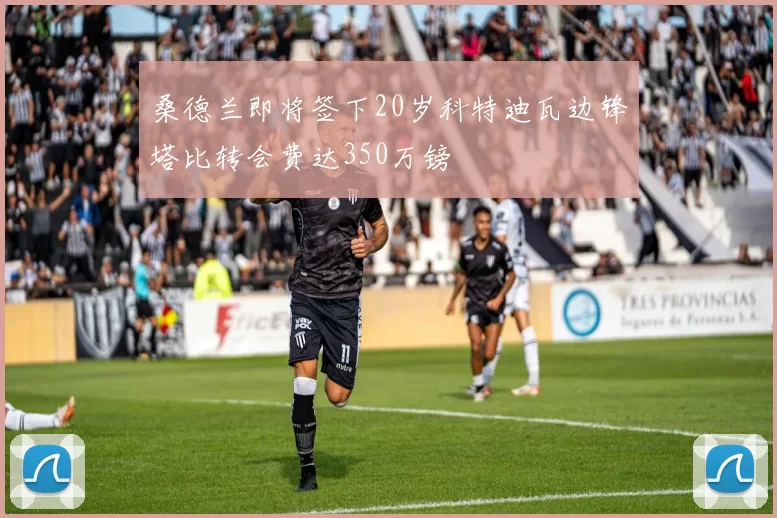 桑德兰即将签下20岁科特迪瓦边锋塔比转会费达350万镑